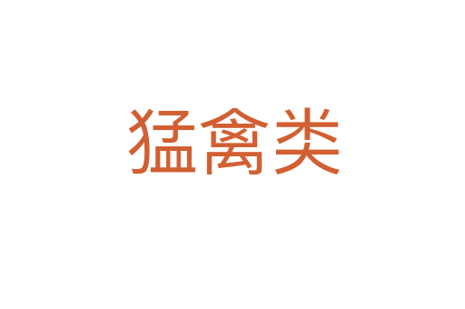 猛禽類(lèi)