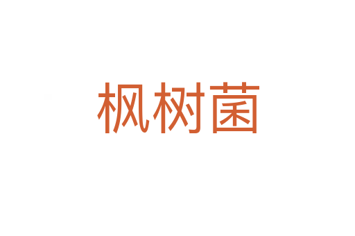 楓樹(shù)菌