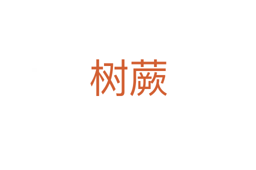 樹(shù)蕨