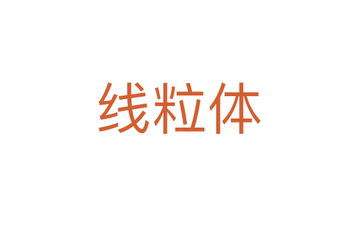 線粒體