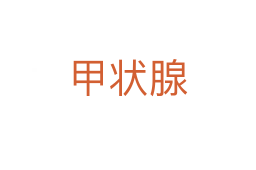 甲狀腺