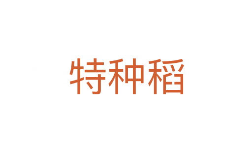 特種稻