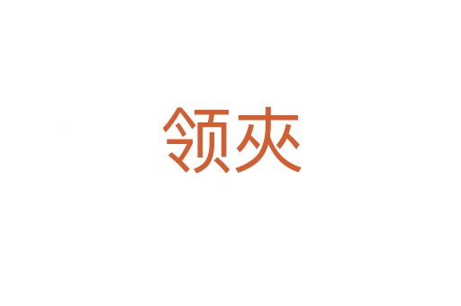 領(lǐng)夾