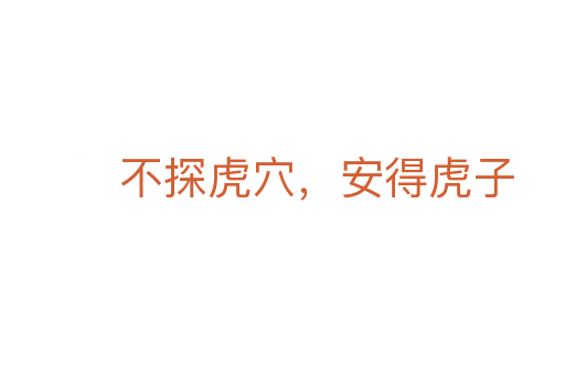 不探虎穴，安得虎子