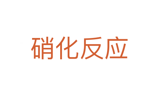硝化反應(yīng)