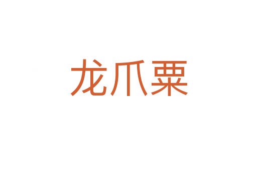 龍爪粟