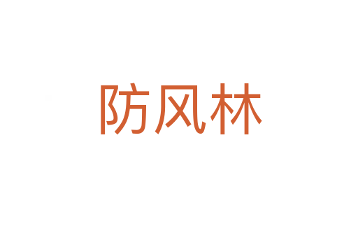 防風(fēng)林