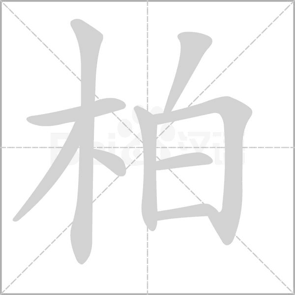 柏的筆順動(dòng)畫演示
