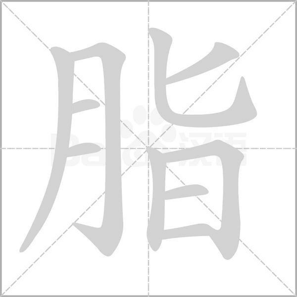 脂的筆順動(dòng)畫(huà)演示
