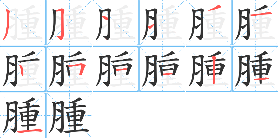 腫的筆順?lè)植窖菔?>
					
                    <hr />
                    <h2>腫的基本信息</h2>
                    <div   id=