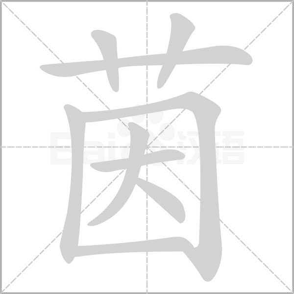 茵的筆順動(dòng)畫演示