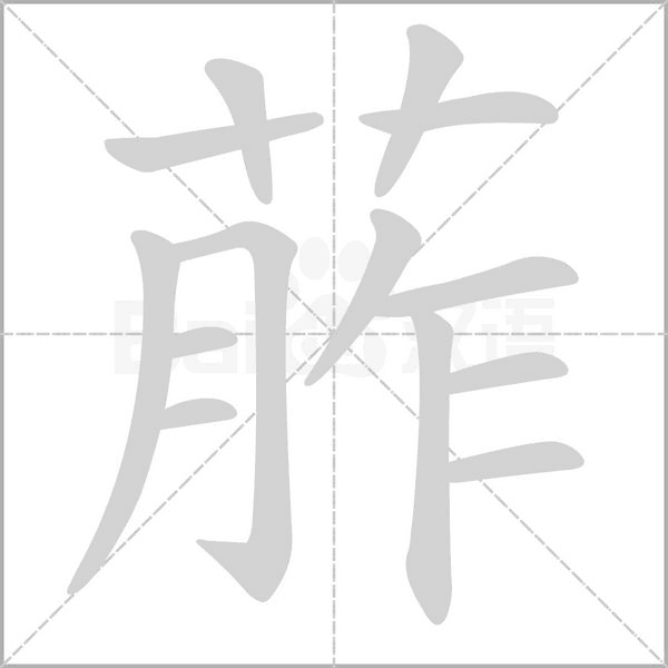 葄的筆順動(dòng)畫演示