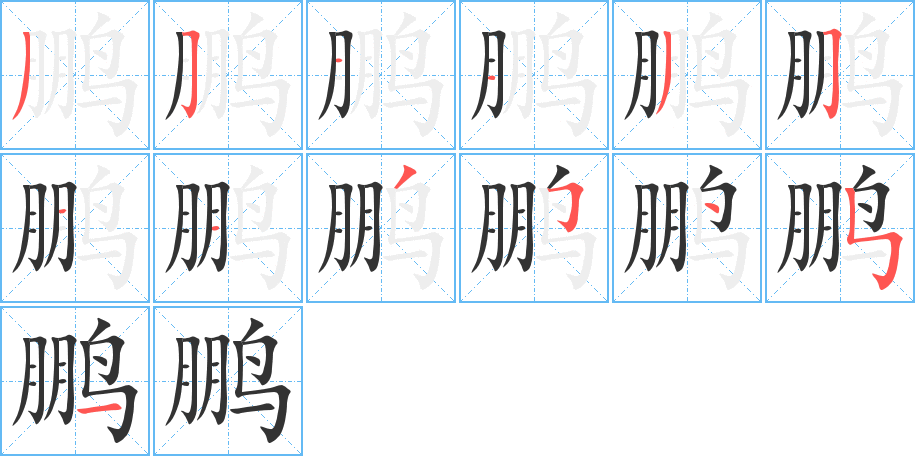 鵬的筆順?lè)植窖菔?>
					
                    <hr />
                    <h2>鵬的基本信息</h2>
                    <div   id=